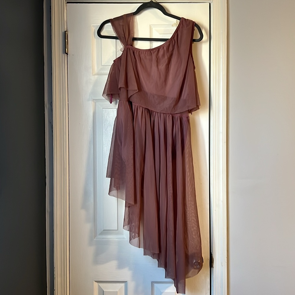 A Wish Come True Ballet Costume - Picture 4 of 5